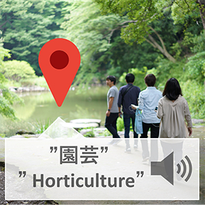 ぼきゃぶら: 場所に関連した単語の音声提示による偶発的英単語学習手法